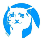 Sad Cat Token
